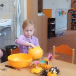 phoca_thumb_m_dn 63 Fotogalerie